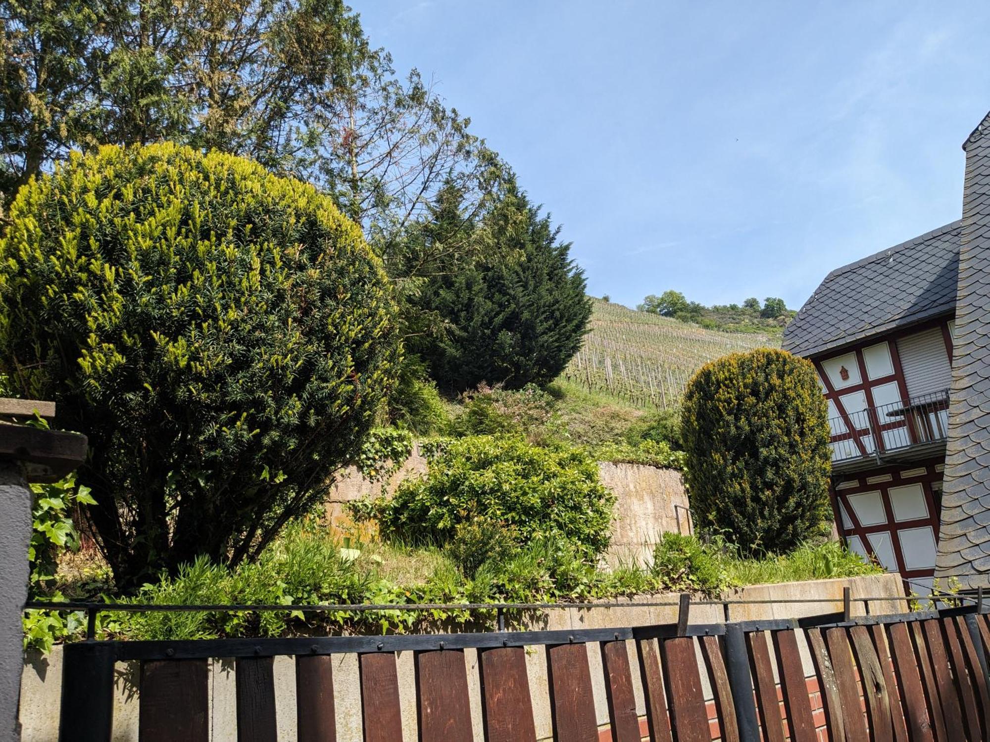 Hotel Pension Winzerhaus Bacharach Eksteriør bilde
